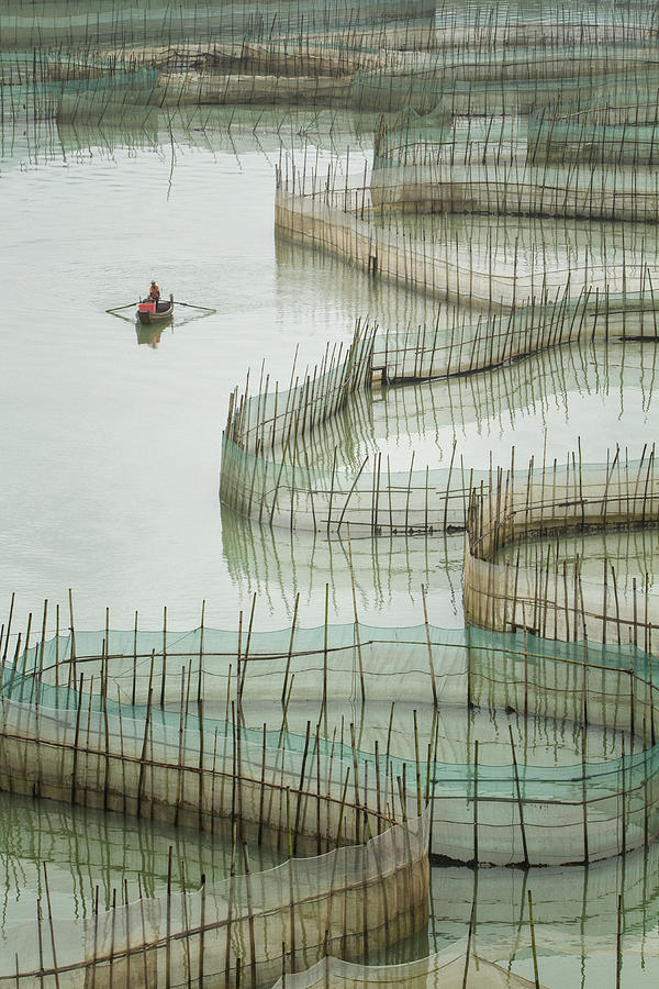 Fish Photograph - Fisherman For Life ... by Ahmed Abdulazim