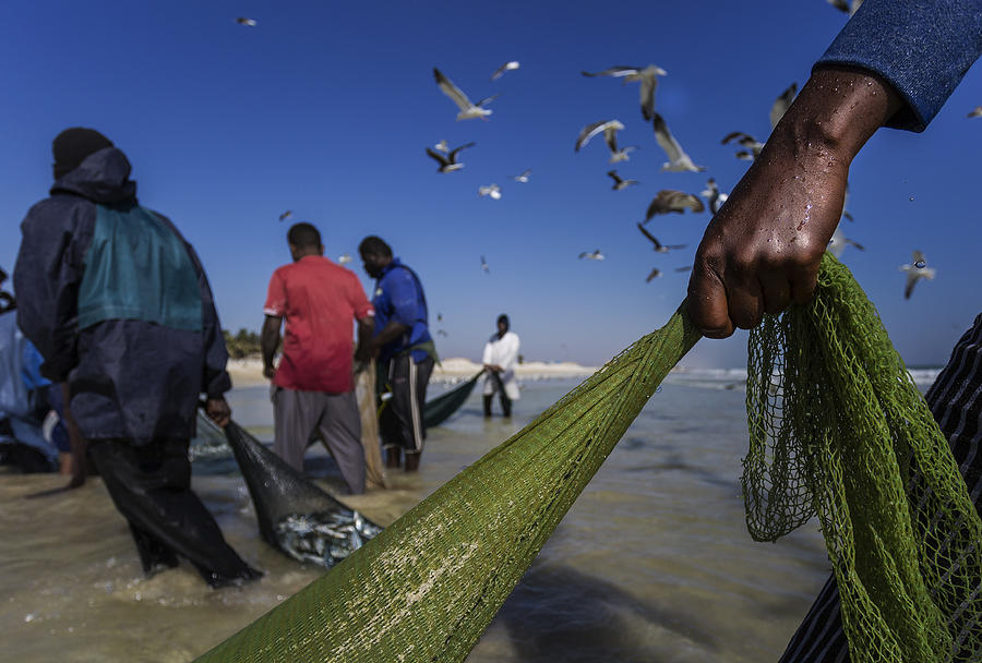 Fish Photograph - Fisherman From Oman by Haitham Al Farsi