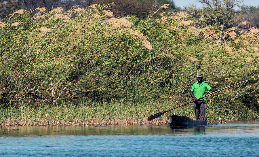 Fisherman on the Zambesi river Photograph by Claudio Maioli