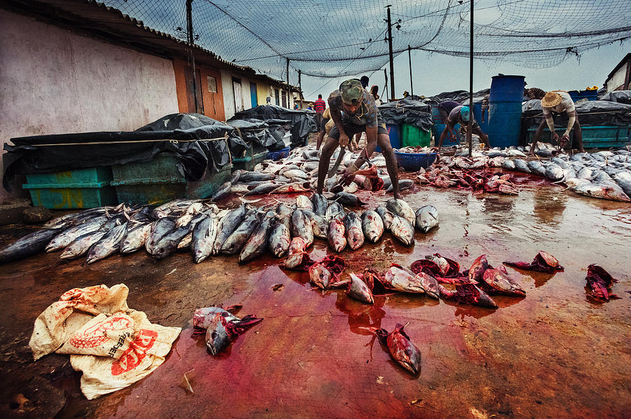 Everyday Photograph - Fishermans Life by Lukasz Kaluza
