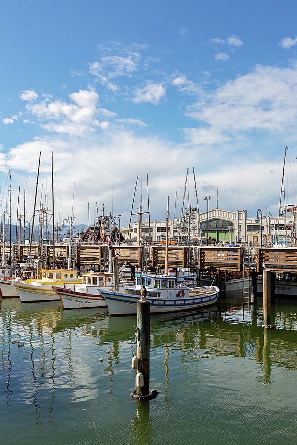 Fishermans Wharf San Francisco California Photograph by Melanie Alexandra Price