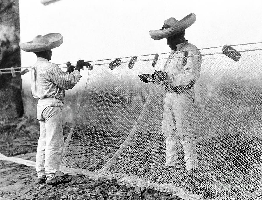 Tina Modotti Photograph - Fishermen With Nets, Mexico, C.1926 by Tina Modotti
