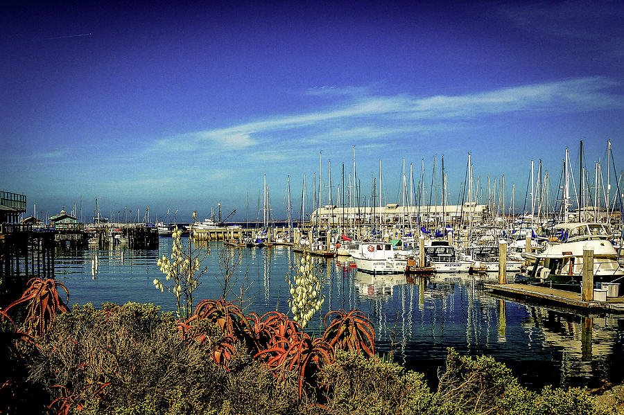 Fishermens Wharf Harbor Monterey Photograph by Donald Pash