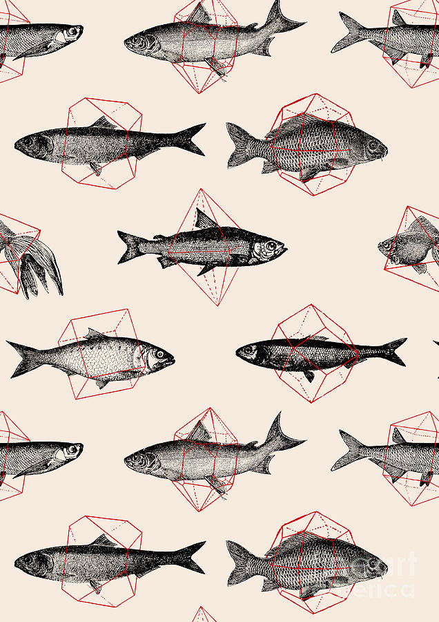 Fishes in Geometrics Digital Art by Florent Bodart