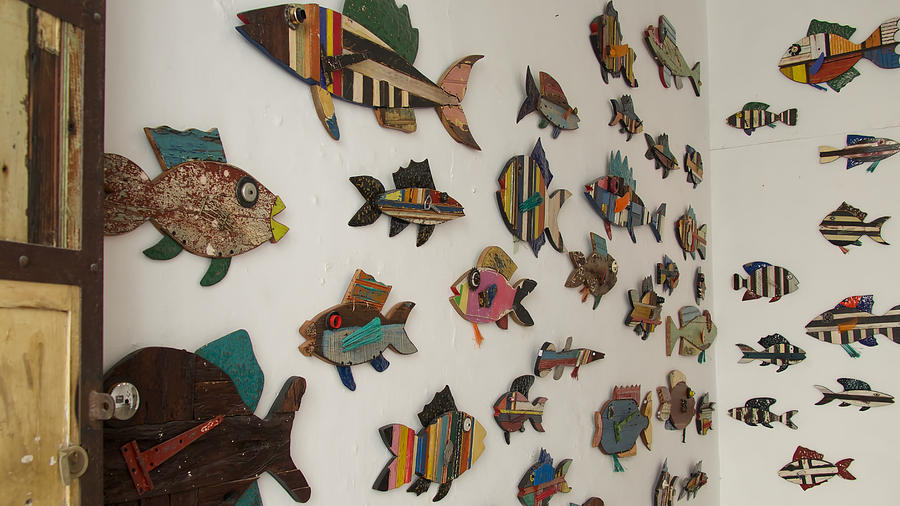 Gallery Photograph - Fishes on the Wall by Dieter Lesche