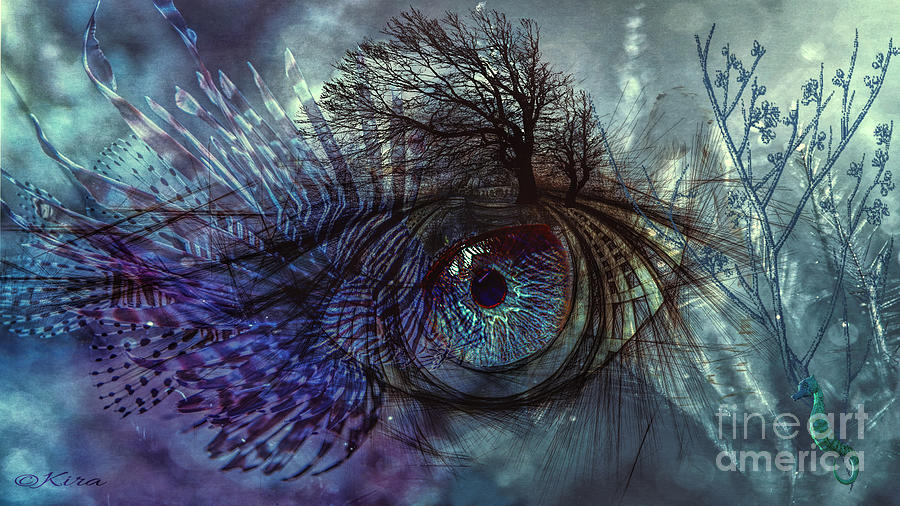 Fisheye Digital Art by Kira Bodensted