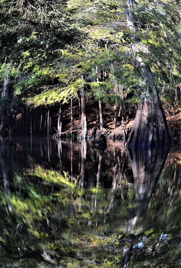 Fisheye Reflections on the Withlacoochee Photograph by Warren Thompson