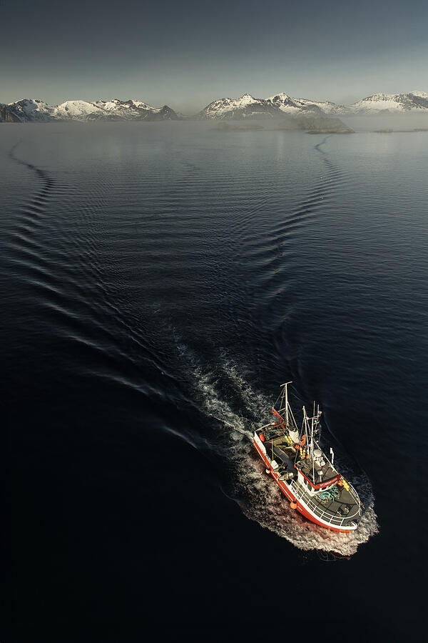 Fishing Boat In Norway Photograph by Dan Mirica