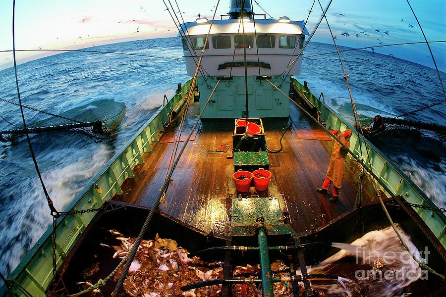 Fishing Boat Photograph by Wim Van Cappellen/reporters/science Photo Library