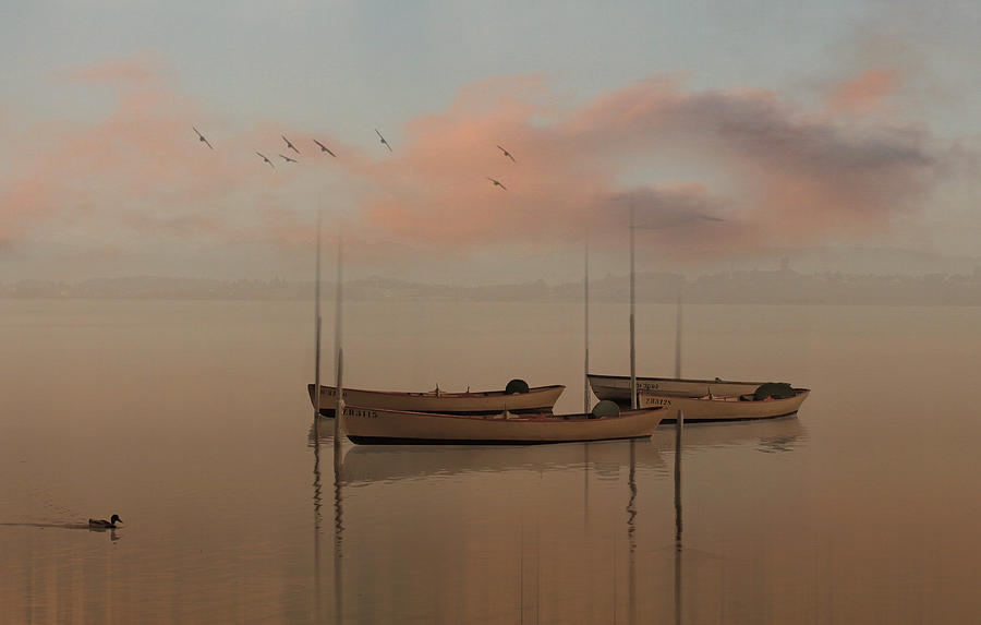 Bird Mixed Media - Fishing Boats Resting At Dusk by Clive Littin