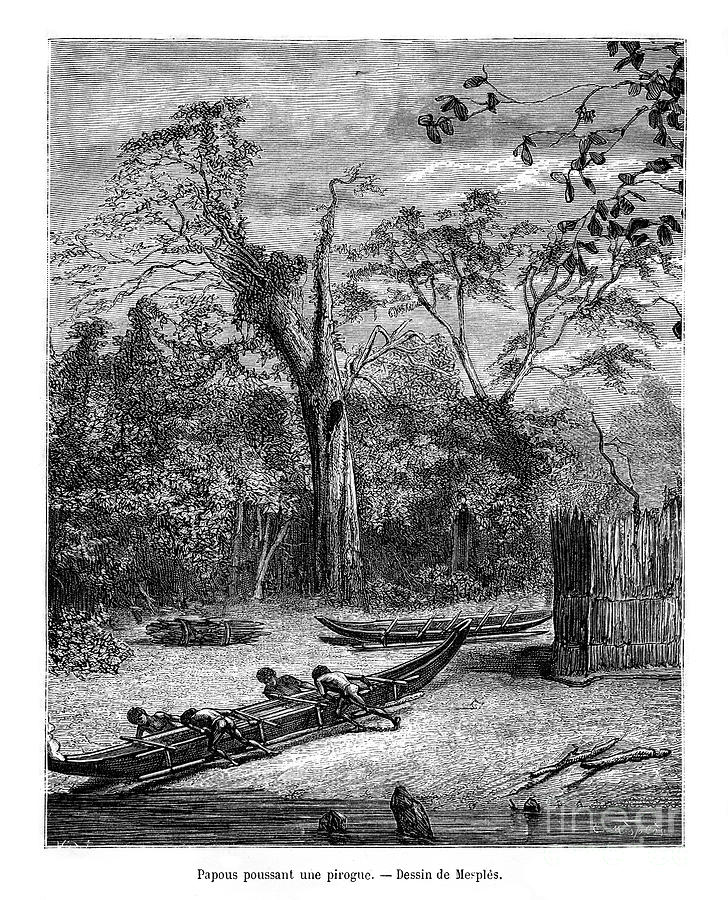 Fishing Dugout, Papua, 19th Century Drawing by Print Collector