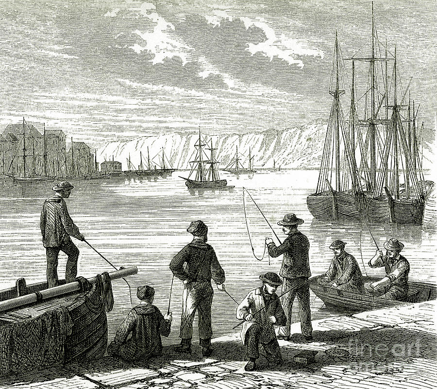Fishing From Docks Photograph by Collection Abecasis/science Photo Library