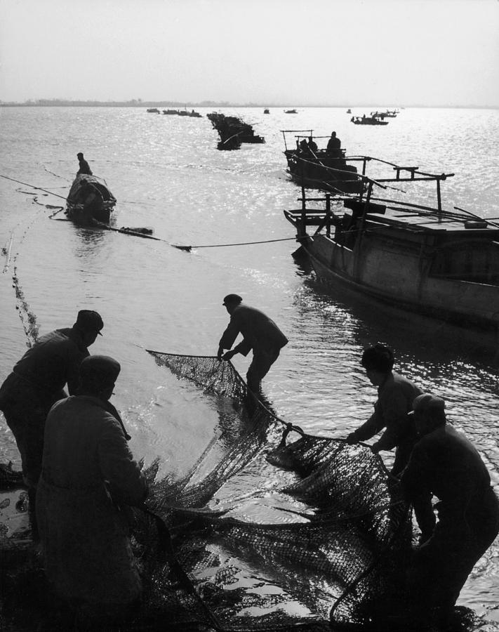 Fishing In China In 1961 Photograph by Keystone-france