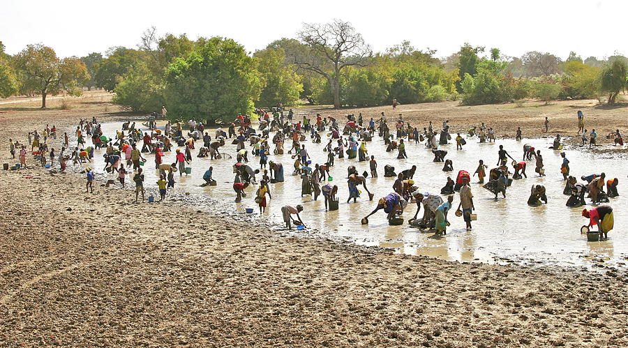 Fishing In Mali Photograph by Ellen Mack