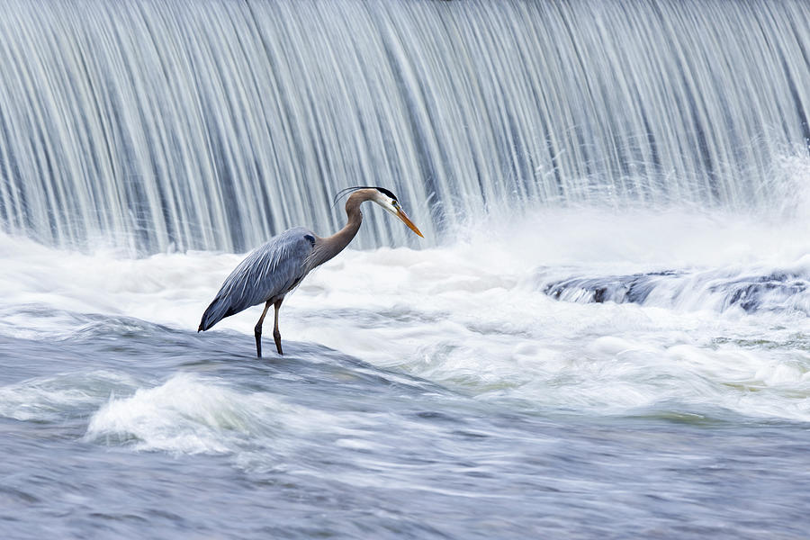 Fishing In Stormy Waters Photograph by Mircea Costina | Fine Art America