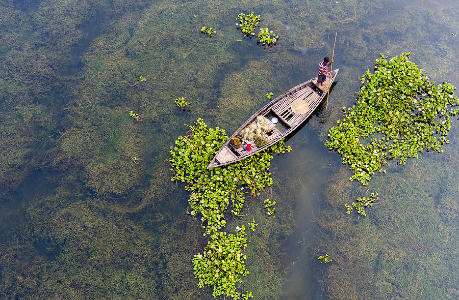 Fishing In Wetlands Photograph by Mostafijur Rahman Nasim - Fine Art ...