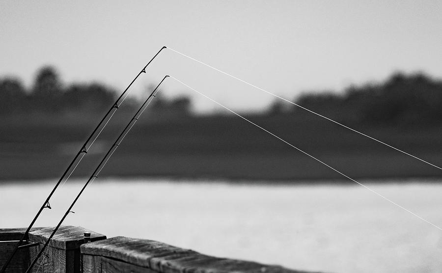 Fishing Lines Photograph by Morey Gers - Fine Art America