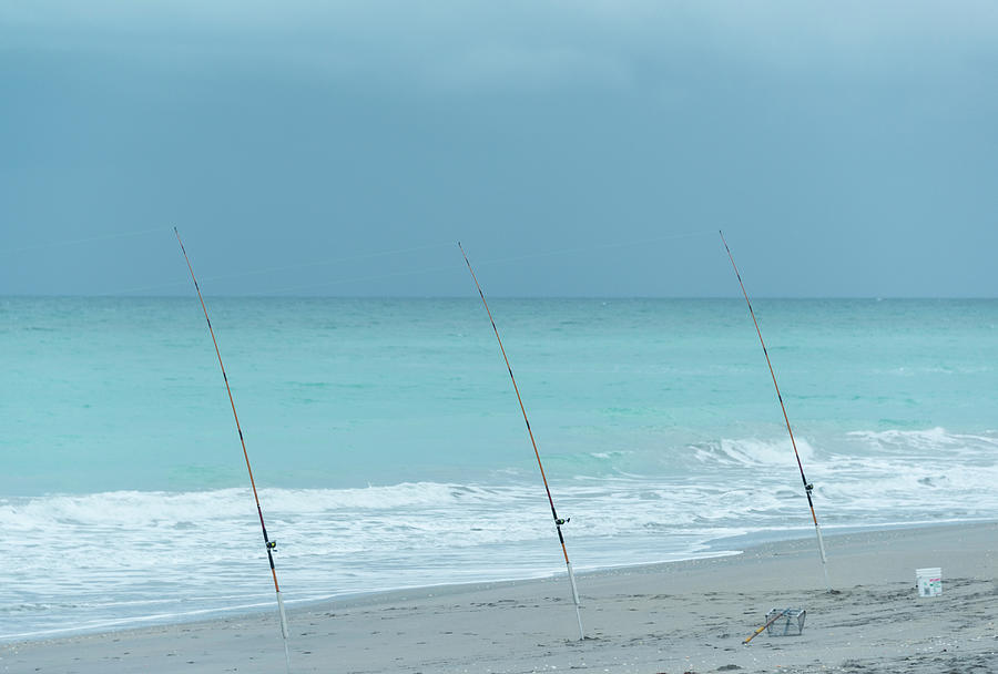 Fishing Poles Photograph by Joanna Mccarthy
