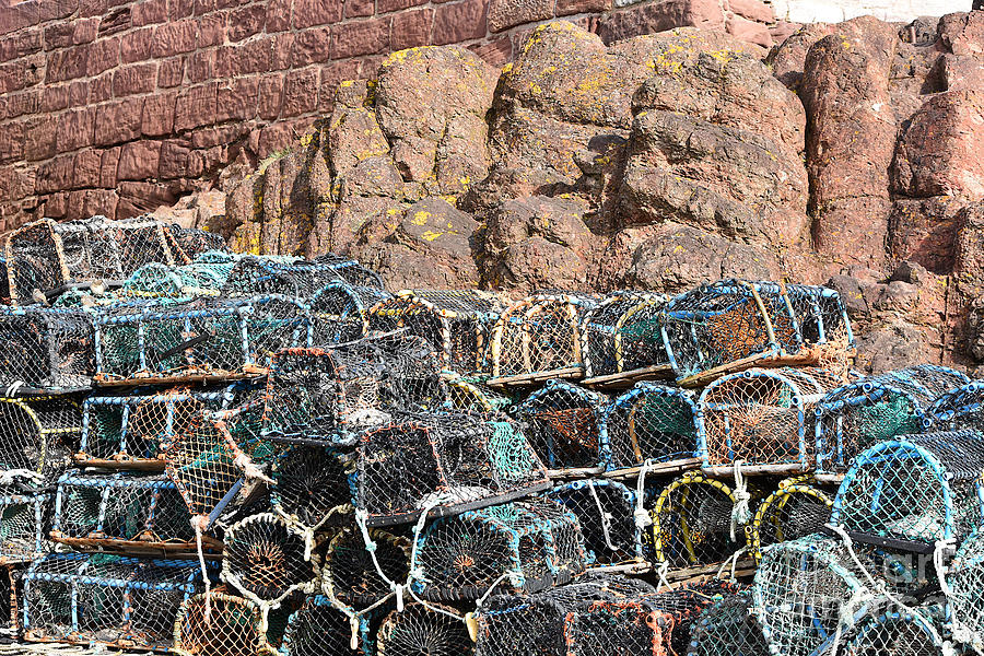 Fishing Pots Dunbar Harbour by Yvonne Johnstone Fishing Pots Dunbar Harbour by Yvonne Johnstone