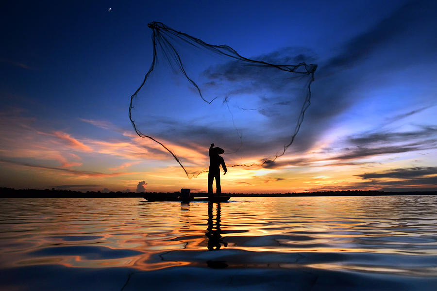 Fish Photograph - Fishing by Sarawut Intarob