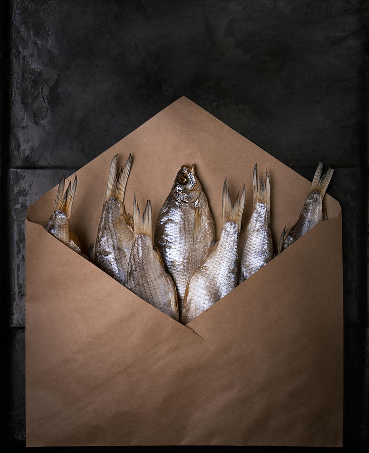 Fish Photograph - Fishka by Golubeva Nataly