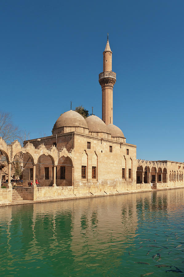 Fishpond Outside Sanliurfa Mosque Photograph by Izzet Keribar - Fine ...