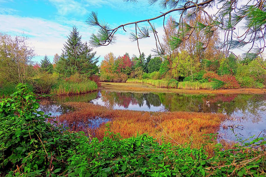 Fishtrap Creek in the Fall 2 by Sharon Talson Fishtrap Creek in the Fall 2 by Sharon Talson