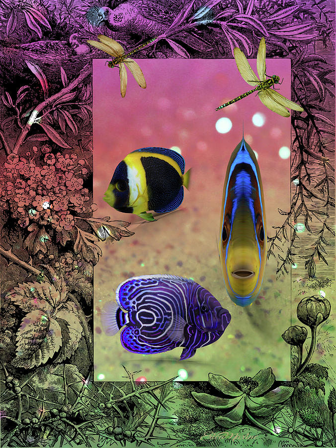 Fishy 637 by Ericamaxine Price Fishy 637 by Ericamaxine Price