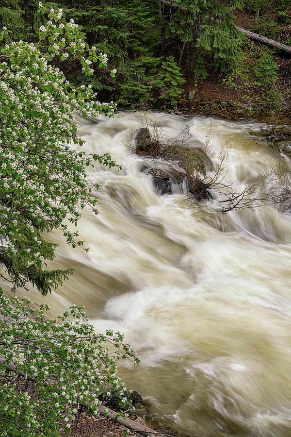 Fisk Creek Falls in Steamboat Springs Photograph by Tibor Vari - Fine ...