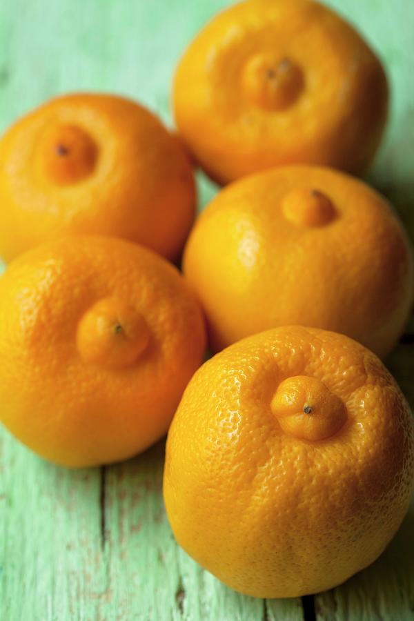 Five Bergamot Oranges Photograph by Mche, Hilde