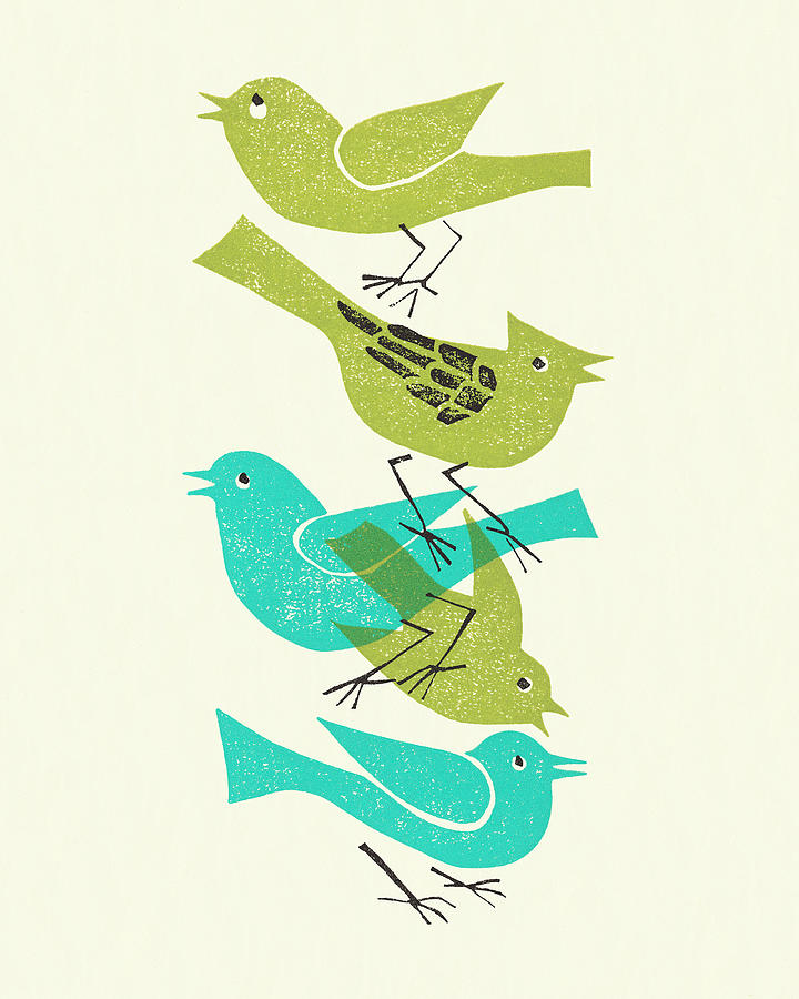 Vintage Drawing - Five Birds by CSA Images