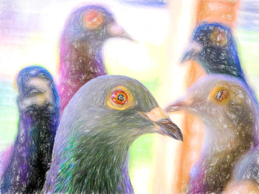 Five Homing Pigeons Colored Pencil Photograph by Don Northup