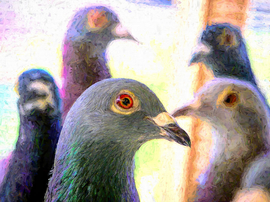 Five Homing Pigeons Hopper Photograph by Don Northup