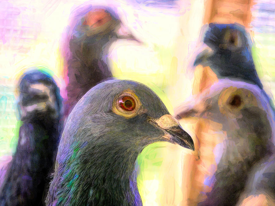 Five Homing Pigeons Impasto Photograph by Don Northup
