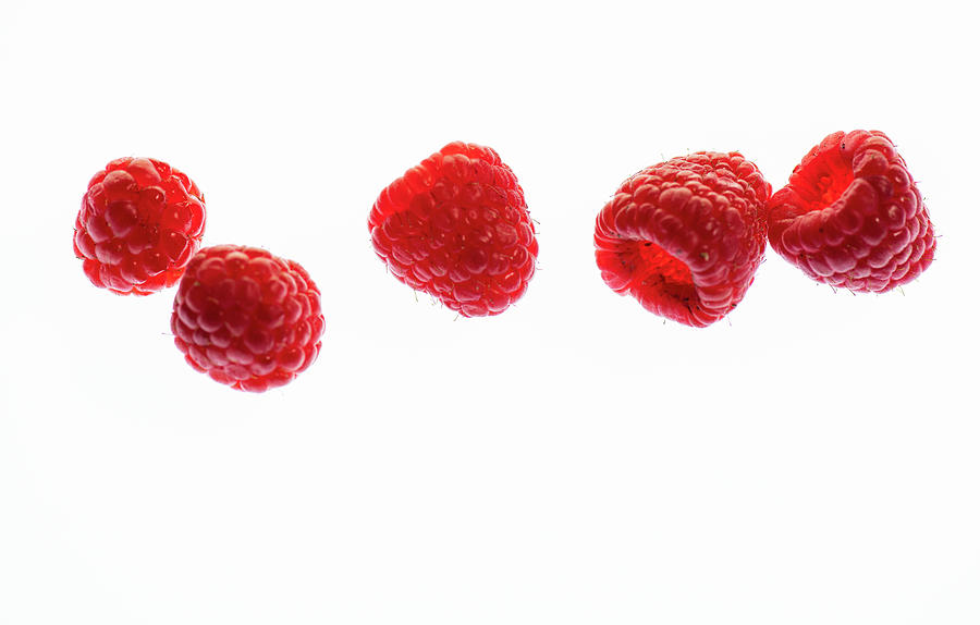 Five Raspberry Illuminated From Behind Photograph by Katrin Benary