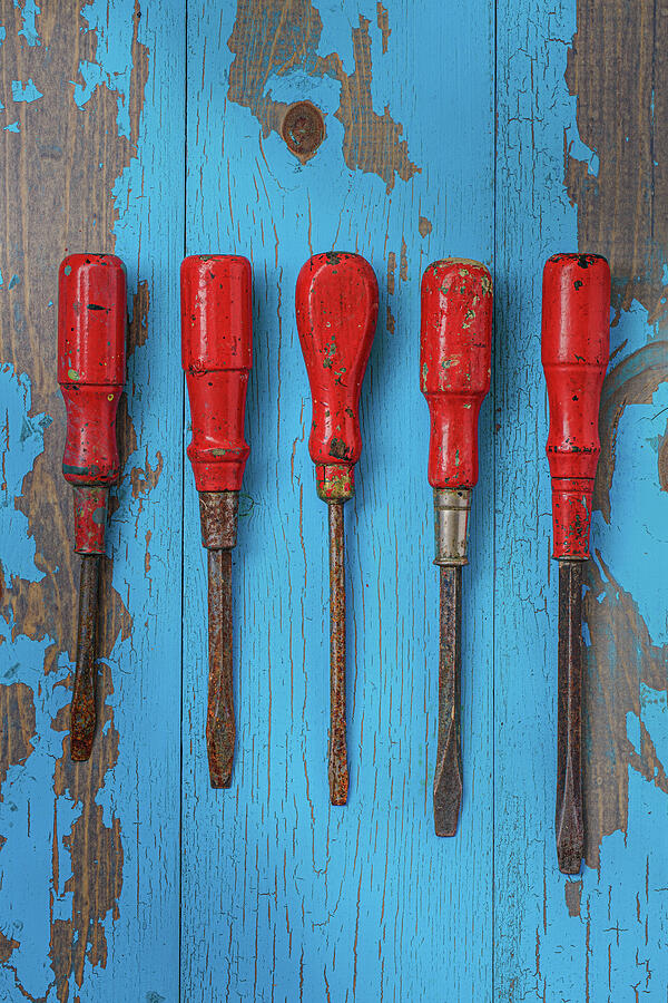 Five Red Screwdrivers Vertical Photograph by David Smith