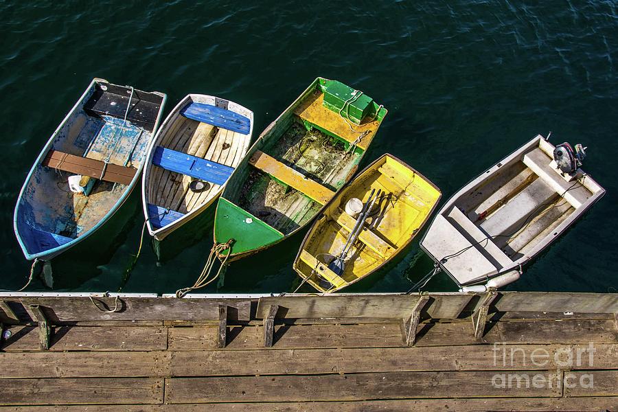 Five sea sisters Photograph by Giorgio Marcenaro - Fine Art America