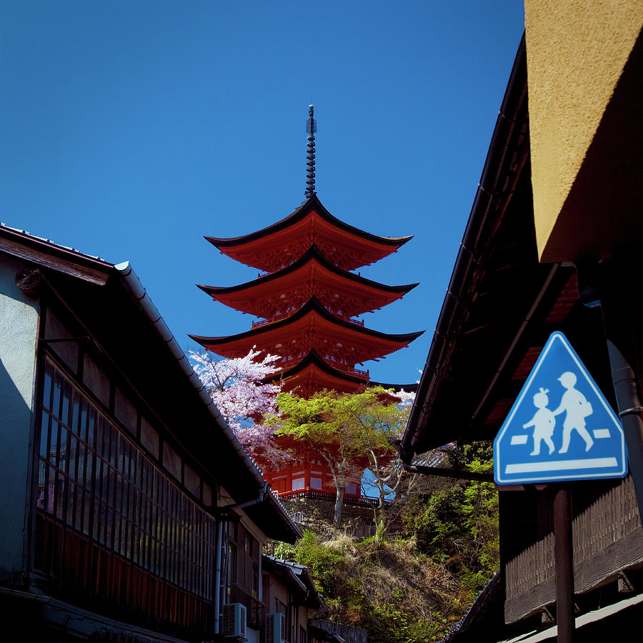 Five Story Pagoda, Miyajima Photograph by Daryl Benson