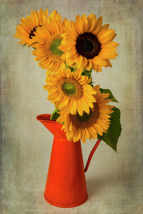 Five Sunflowers In Orange Pitcher Photograph by Garry Gay