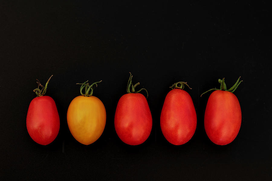 Tomato Photograph - Five Tomatoes by Sandi Kroll