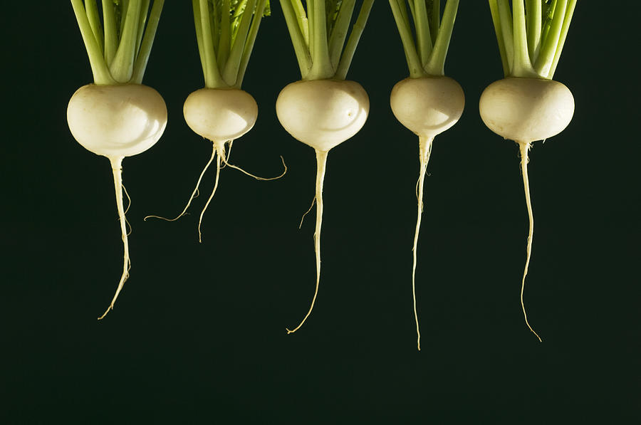 Five Turnips Photograph by Wataru Yanagida