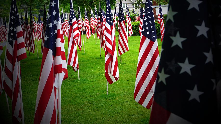 Flag Field Photograph By Bill Murray Artist 