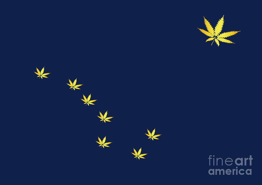 Flag of Alaska With Cannabis Leaf Stars Digital Art by Bigalbaloo Stock