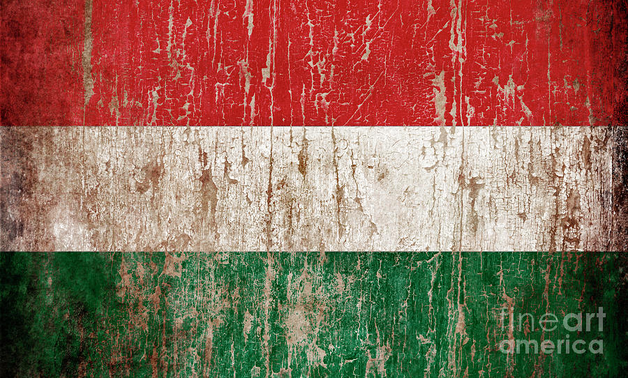 Flag of Hungary Photograph by Jelena Jovanovic