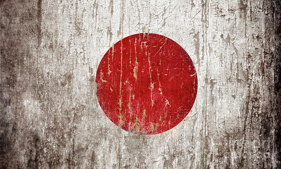 Flag of Japan Photograph by Jelena Jovanovic