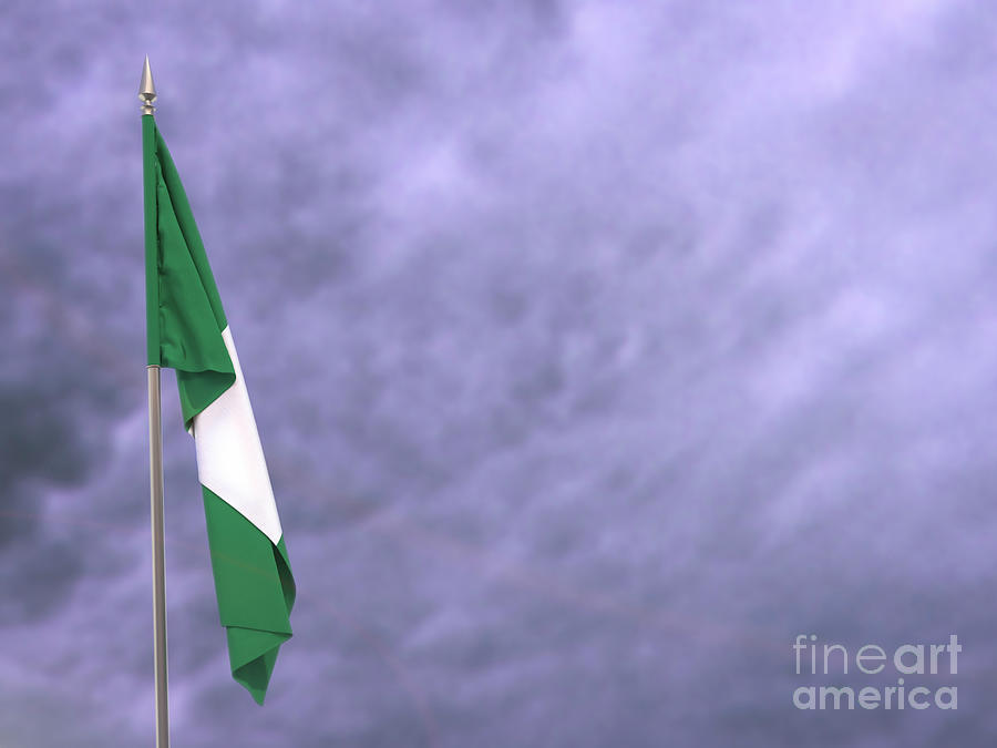 Flag Of Nigeria Hanging Down Dangling Photograph by Sven Loeffler