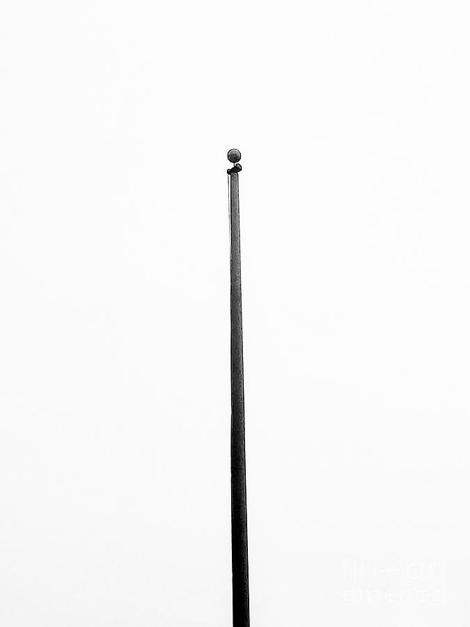 Flag Pole Photograph by Fei A