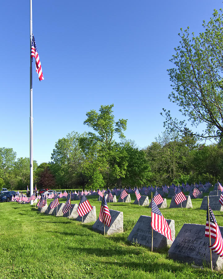 Flags for the fallen Photograph by Deborah Ritch