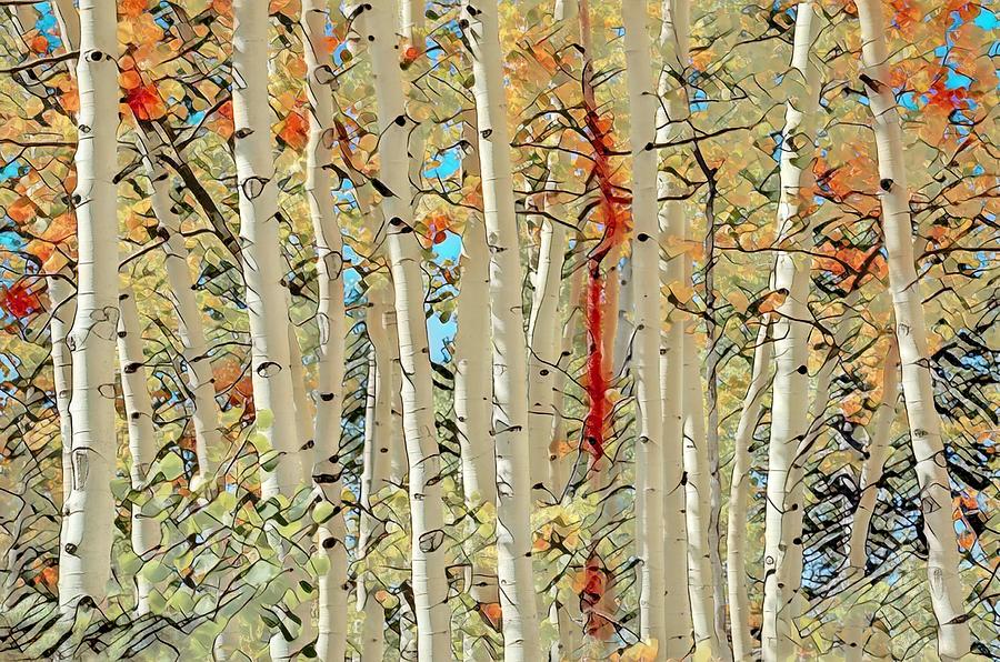 Tree Photograph - Flamboyant Aspens by Donna Kennedy