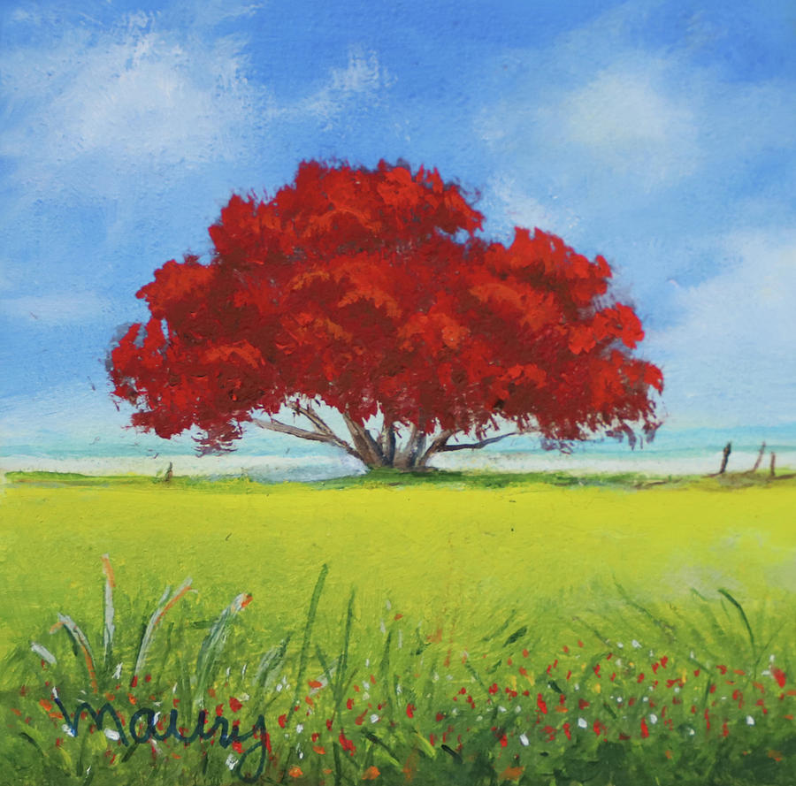 Flamboyant Near The Beach by Alicia Maury Flamboyant Near The Beach by Alicia Maury